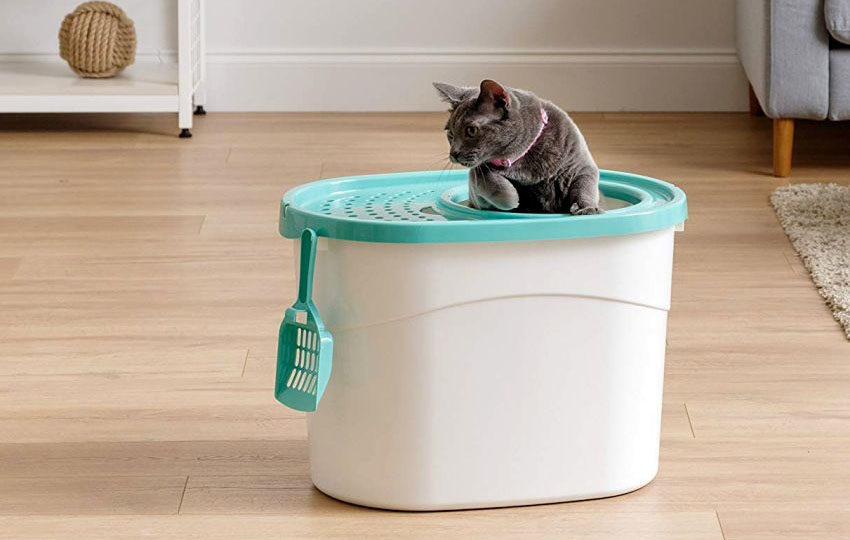 IRIS cat litter box