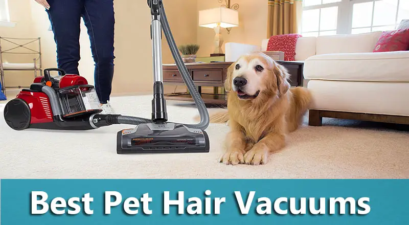 Best Vacuum For Pet Hair