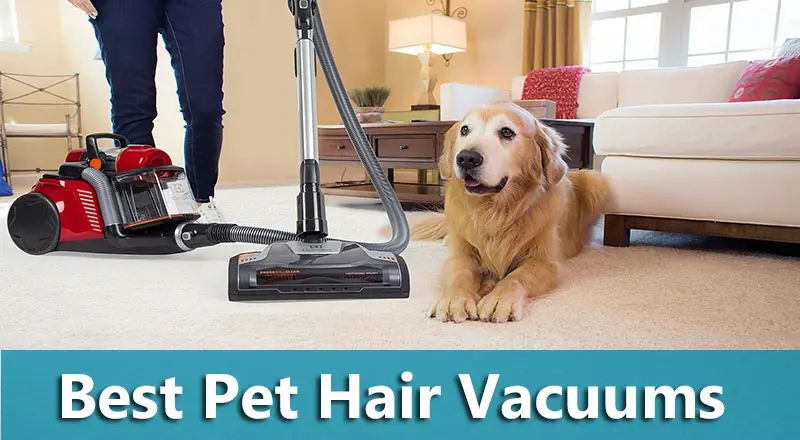 5 High Quality Best Pet Hair Vacuums 2019 Updated Cleaning Beasts