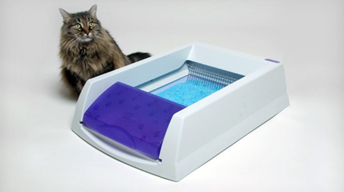 scoopfree litter box