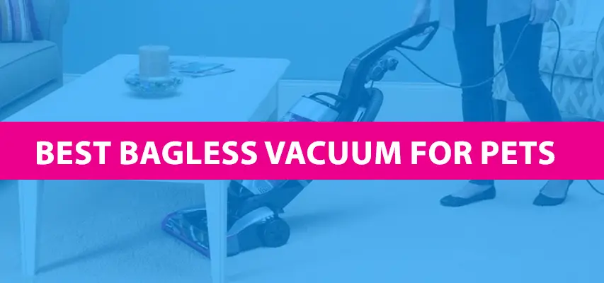 Best Bagless Vacuum For Pet Hair