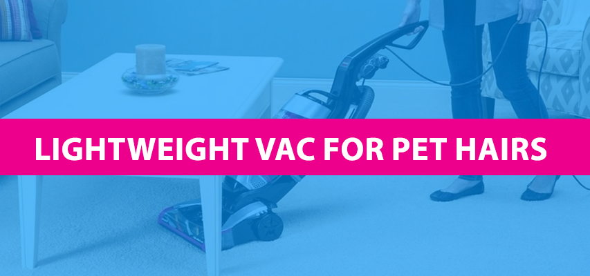 Best Lightweight Vacuum For Pet Hair
