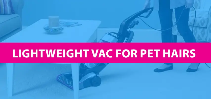 Best Lightweight Vacuum For Pet Hair in 2024