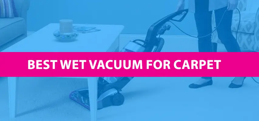 Best Wet Vacuum Cleaner For Carpet in 2022