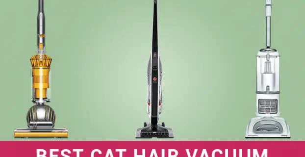 Best Vacuum For Cat Hair in 2023
