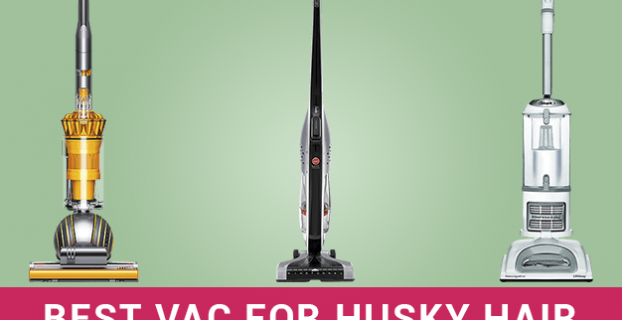 🥇Best Vacuum for Husky Hair in 2022