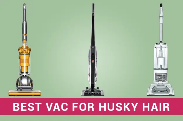 Best Vacuum for Husky Hair