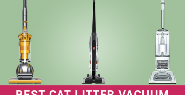 Best Vacuum For Cat Litter in 2022