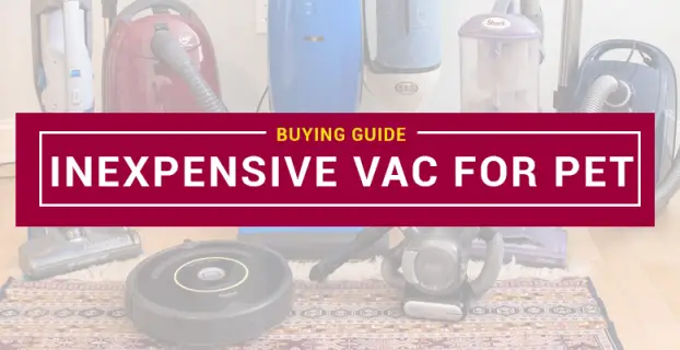 Best Inexpensive Vacuum For Pet Hair