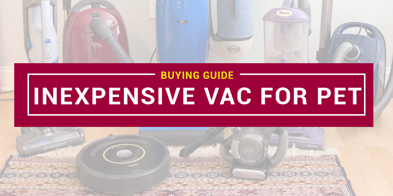 Best Inexpensive Vacuum For Pet Hair