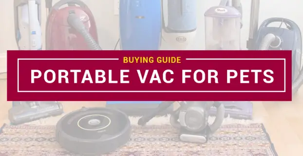 Best Portable Vacuum For Pet Hair in 2023