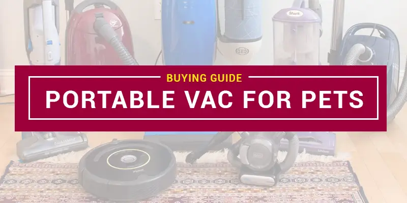 Best Portable Vacuum For Pet Hair