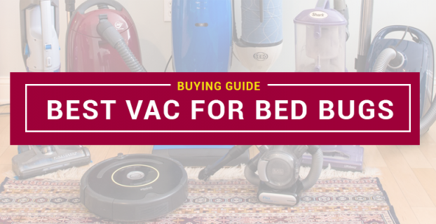 Best Vacuum for Bed Bugs in 2022