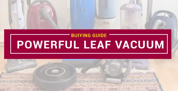 Most Powerful Leaf Vacuum