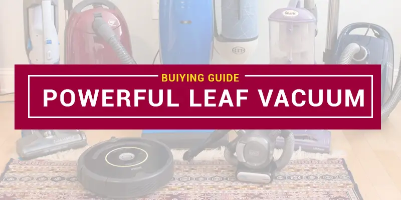 Most Powerful Leaf Vacuum