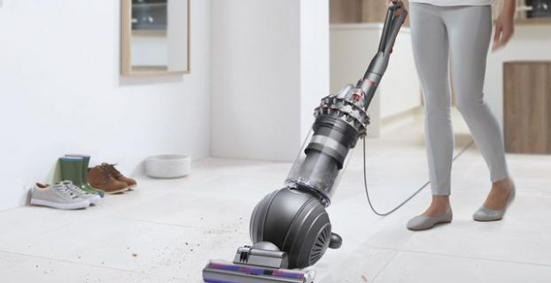 Do Spiders Die When You Vacuum Them?