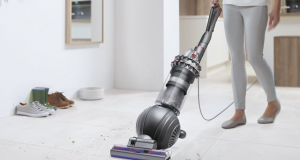 Does Vacuuming Kill Ants