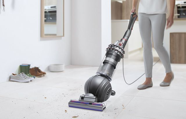 Does Vacuuming Kill Ants