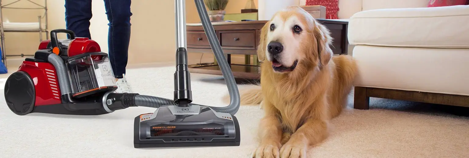 🥇Best Shop Vac For Dog Hair in 2024 Cleaning Beasts