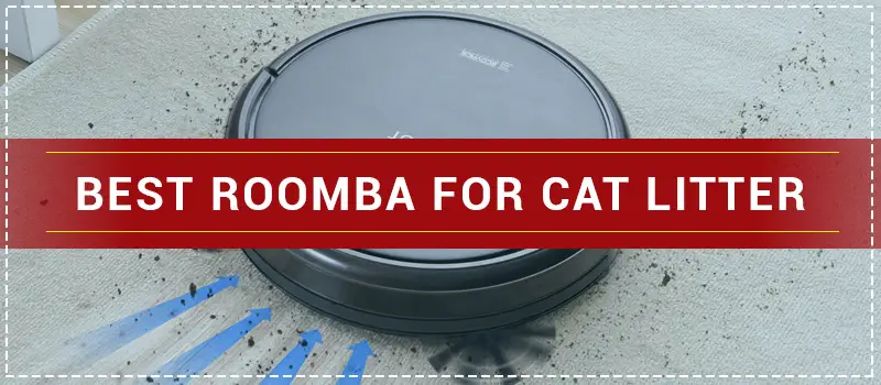 best roomba for cat litter