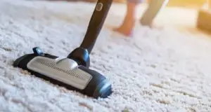 Can Vacuum Dust Be Composted