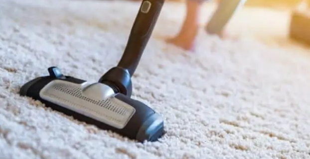 Can Vacuum Dust Be Composted