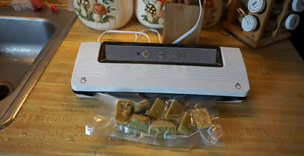 How To Freeze Soup In Vacuum Sealer
