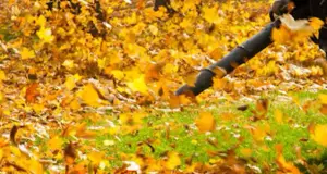 How Does A Leaf Vacuum Work