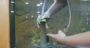 How To Clean Aquarium Gravel Without Vacuum
