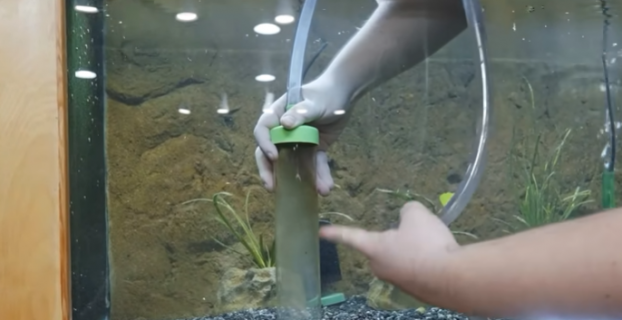 How To Clean Aquarium Gravel Without Vacuum