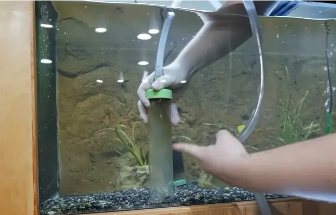 how-to-clean-aquarium-gravel-without-vacuum-cleaning-beasts