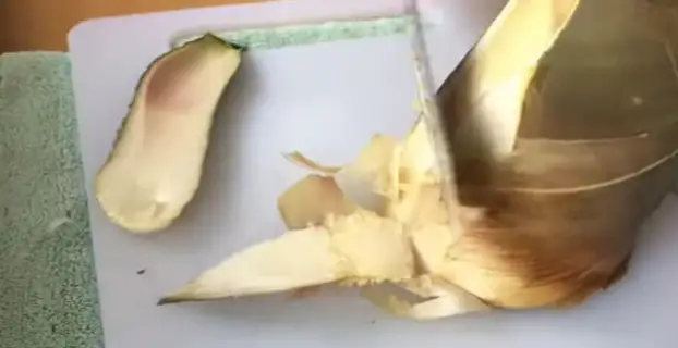 How To Cook Vacuum-Packed Bamboo Shoot 