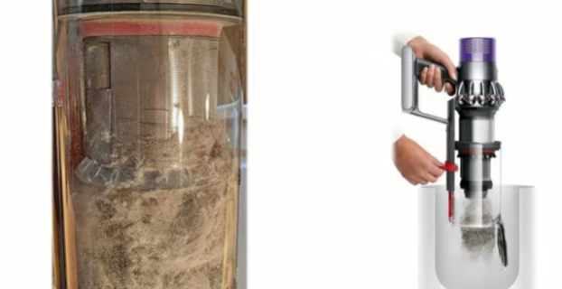 How To Get Dog Smell Out Of Dyson Vacuum