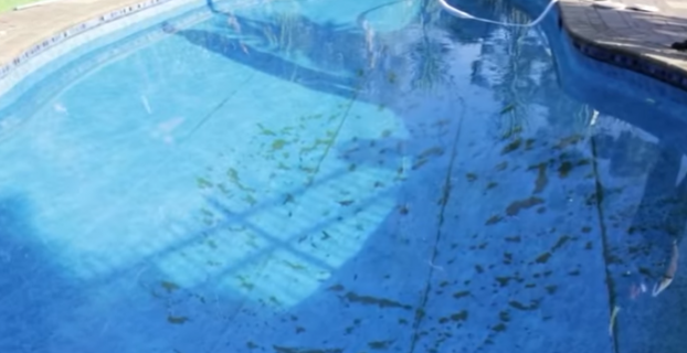 How To Vacuum To Waste With Cartridge Filter