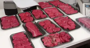 How long does Vacuum Sealed Raw Meat last in the Freezer?