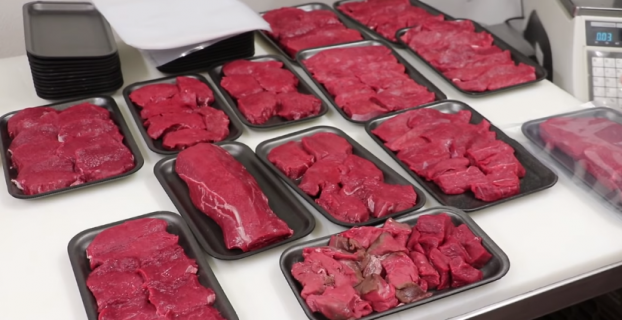 How long does Vacuum Sealed Raw Meat last in the Freezer?