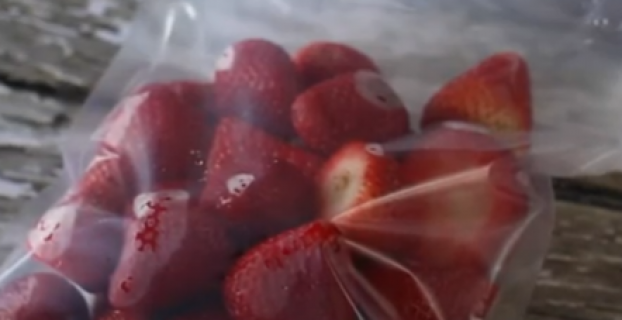 Are Vacuum Seal Bags Reusable  