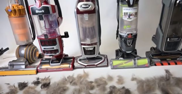 Which Shark Vacuum is Best for Pet Hair