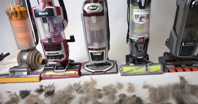 Which Shark Vacuum is Best for Pet Hair - Cleaning Beasts