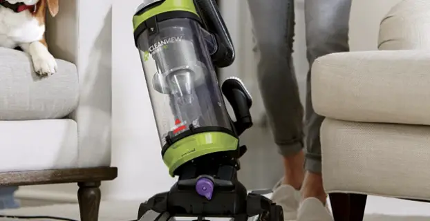 Why do Dogs hate Vacuum Cleaners?