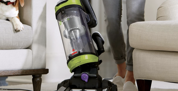 Why do Dogs hate Vacuum Cleaners?