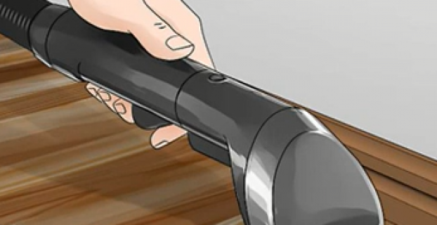 Will Vacuuming Ants Kill Them