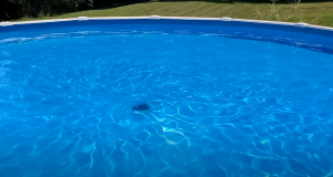 How to Remove Dirt from Bottom of Pool Without Vacuum