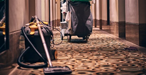 How Often Should I Vacuum My Carpet?