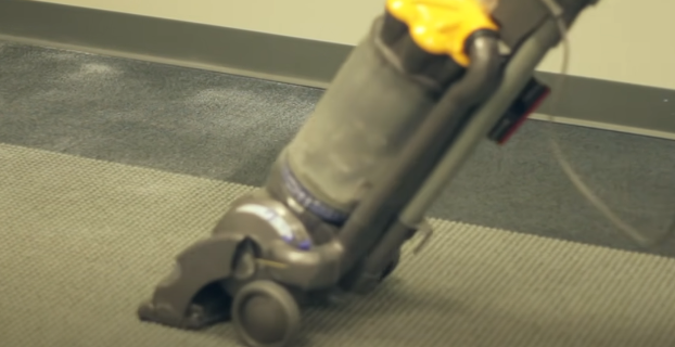What to Put in Vacuum to Kill Fleas