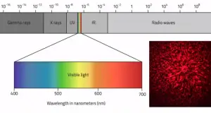 How does the Speed of Radio Waves Compare to that of Visible Light in a Vacuum