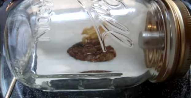 How Long to Vacuum Purge BHO