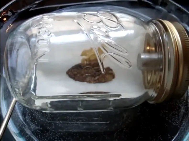 How Long to Vacuum Purge BHO Cleaning Beasts