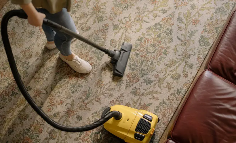 Is Rainbow Vacuum Worth It? Cleaning Beasts