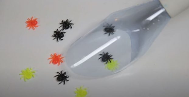 Will Vacuuming a Spider Kill It
